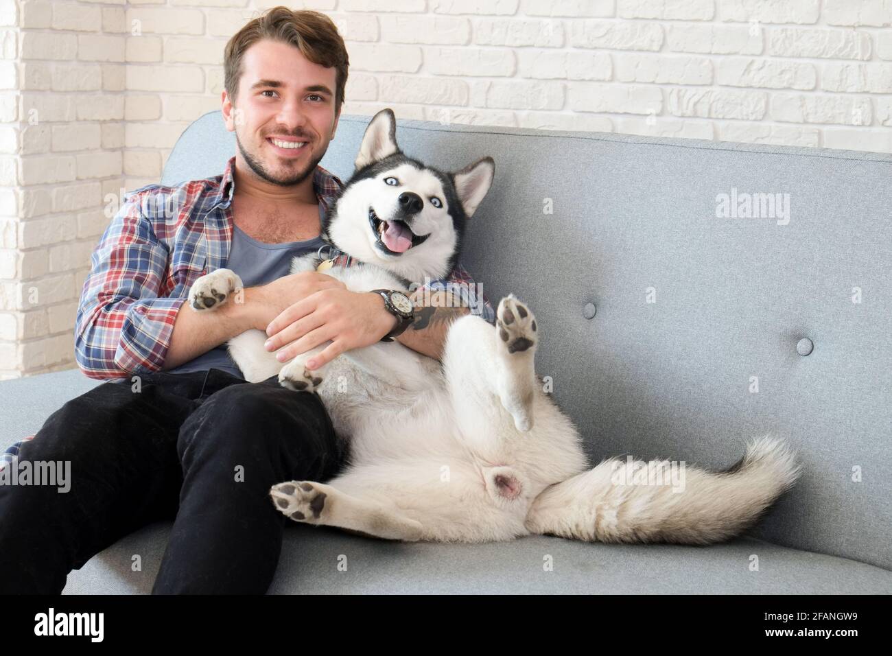 Giovane uomo bearded che si stese con il suo cane Husky. Hipster maschio con camicia a scacchi in flanella e canotta grigia trascorrere del tempo di qualità con quattro l. Foto Stock