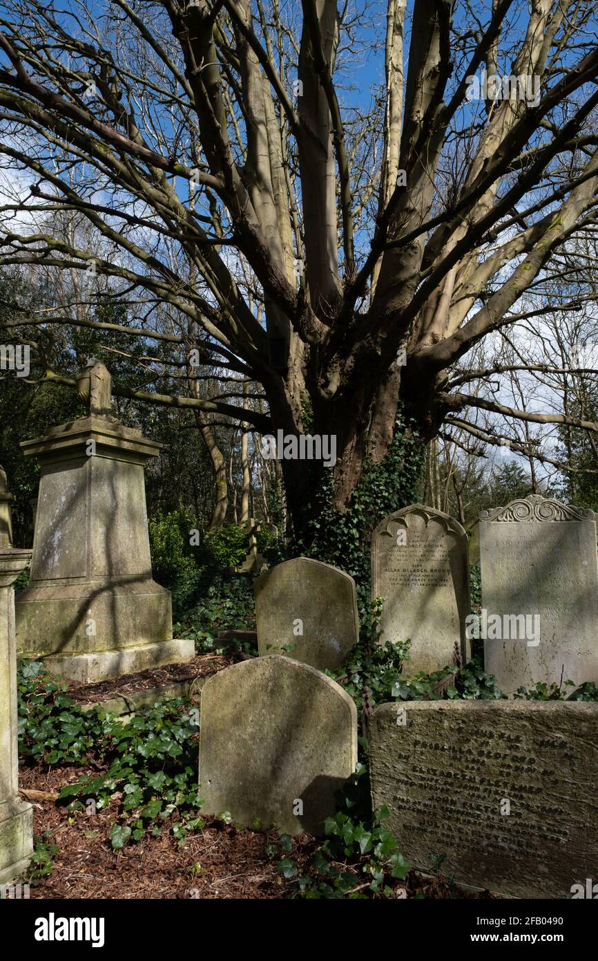 Londra, UK- Marzo 2021: Lapidi in Highgate Cemetery West Foto Stock