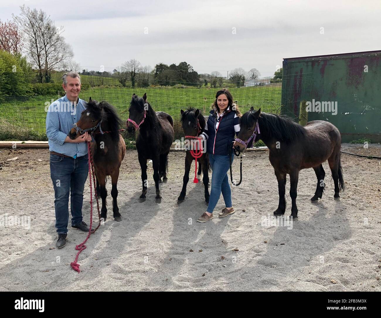 Il ministro dell'Agricoltura dello Stormont Edwin Poots (a sinistra) e Lisa Booth con pony presso la fattoria Ashleigh MasseyÕs vicino a Ballygowan, Co Down. I quattro pony sono stati detenuti al porto di Belfast per quasi cinque settimane a causa di problemi con la documentazione del protocollo dell'Irlanda del Nord, ma sono stati rilasciati ai loro nuovi proprietari. Data immagine: Venerdì 23 aprile 2021. Foto Stock
