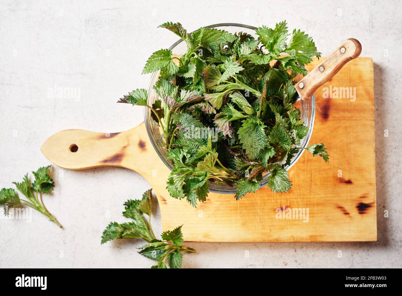 Tagliare le foglie verdi di ortica in un recipiente su un tagliere. Foto Stock