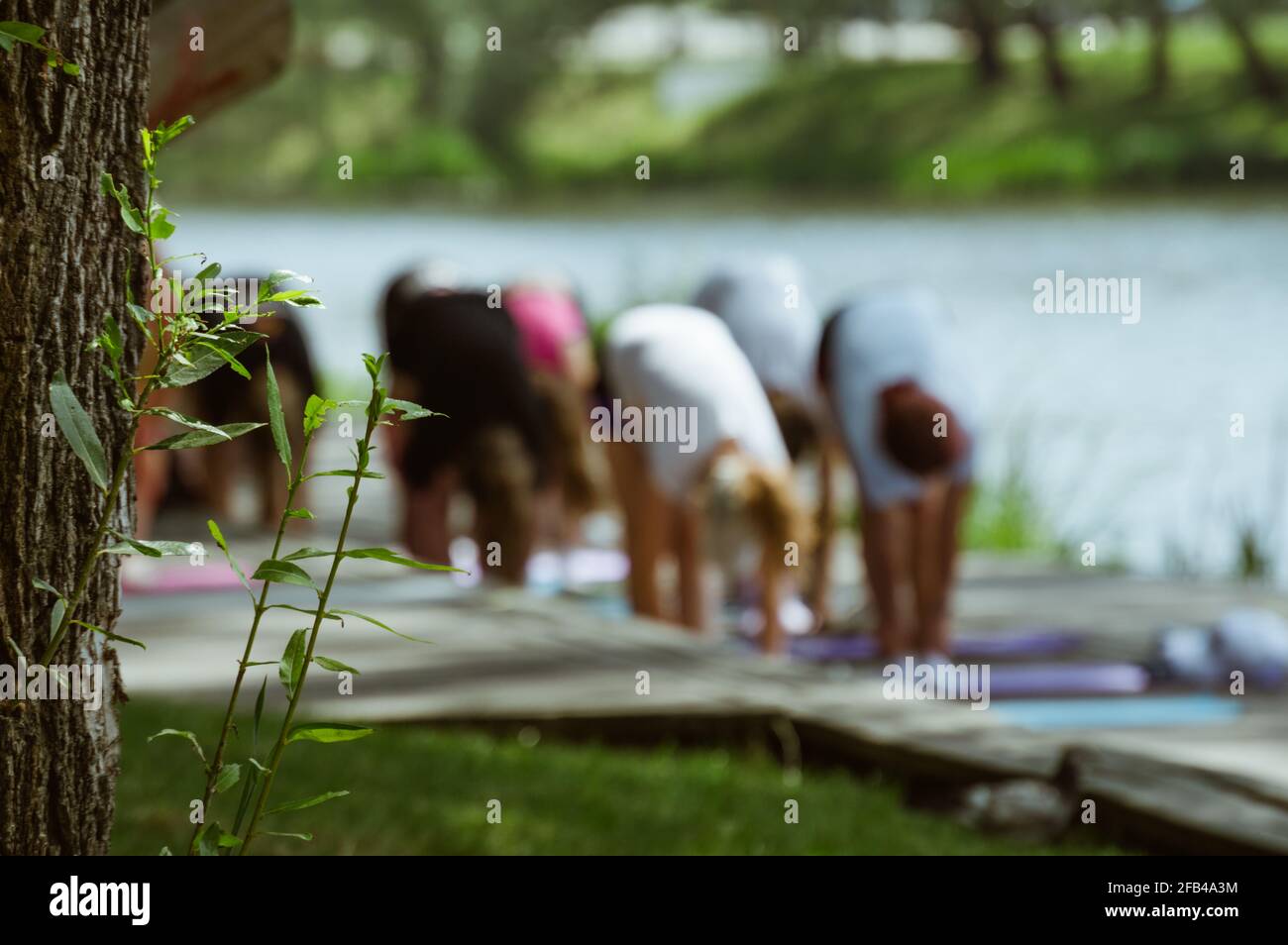 Ramo dell'albero sullo sfondo sfocato dell'allenamento sportivo Foto Stock