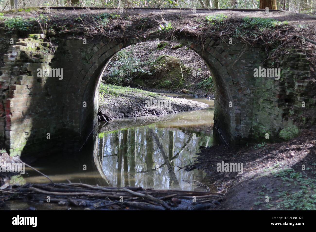Woodland scena che mostra fiume che scorre attraverso vecchio mattoni stagionato costruito ponte Foto Stock