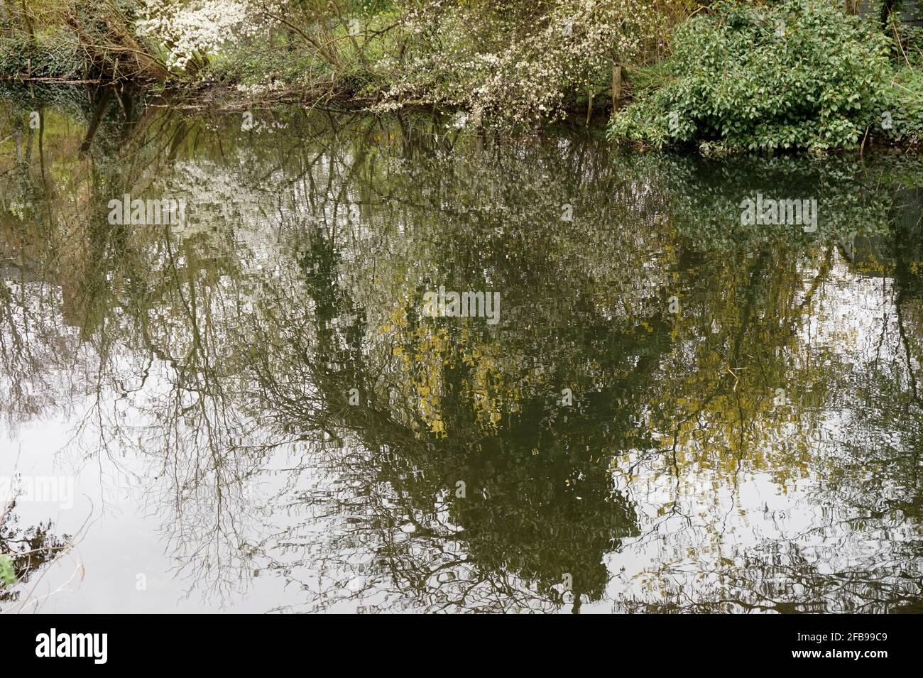 Una passeggiata lungo il fiume Cam vicino a Hinxton, Cambridgeshire Foto Stock