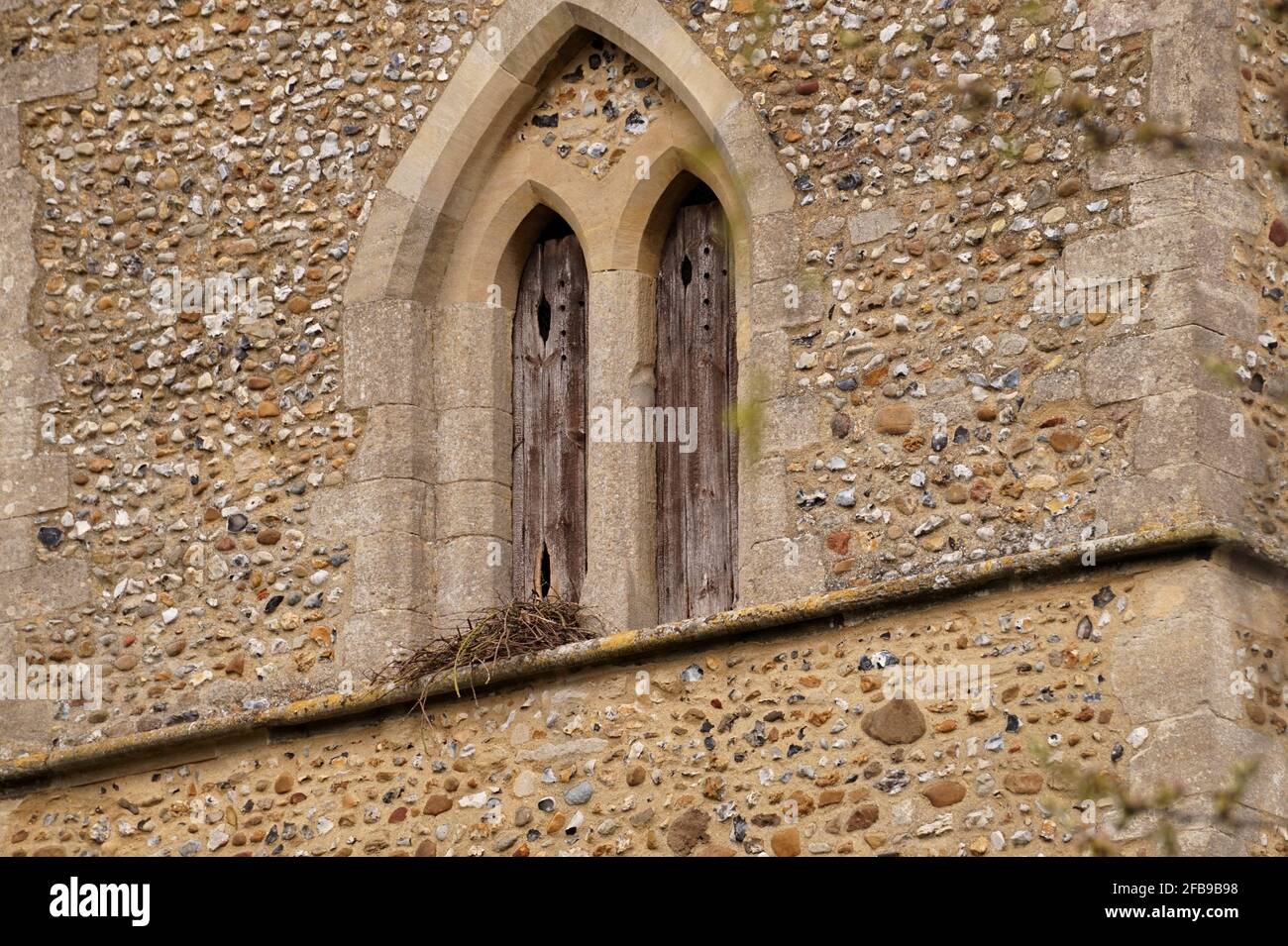 Chiesa di Santa Maria costruita in epoca normanna e sassone, Little Abington, Cambridgeshire Foto Stock