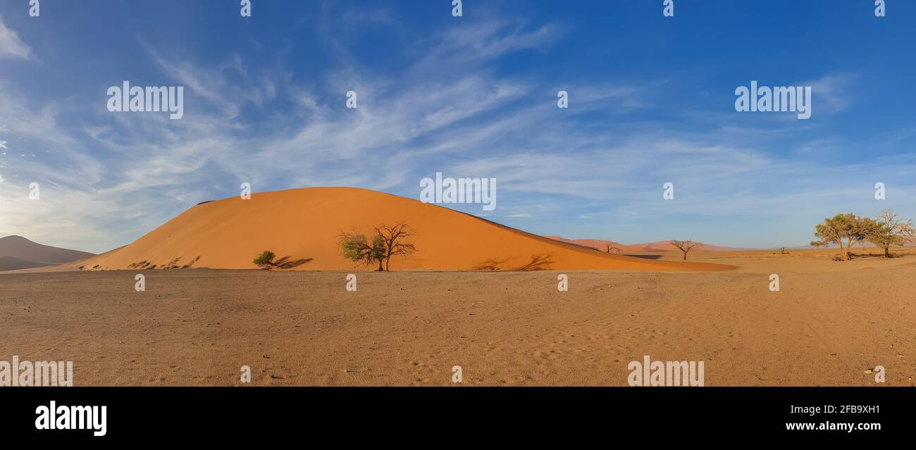 Dune 45 del deserto del Namib a Sossusvlei al mattino, sfondo cielo blu con belle nuvole, Namib Naukluft Rand, Namibia. Foto Stock