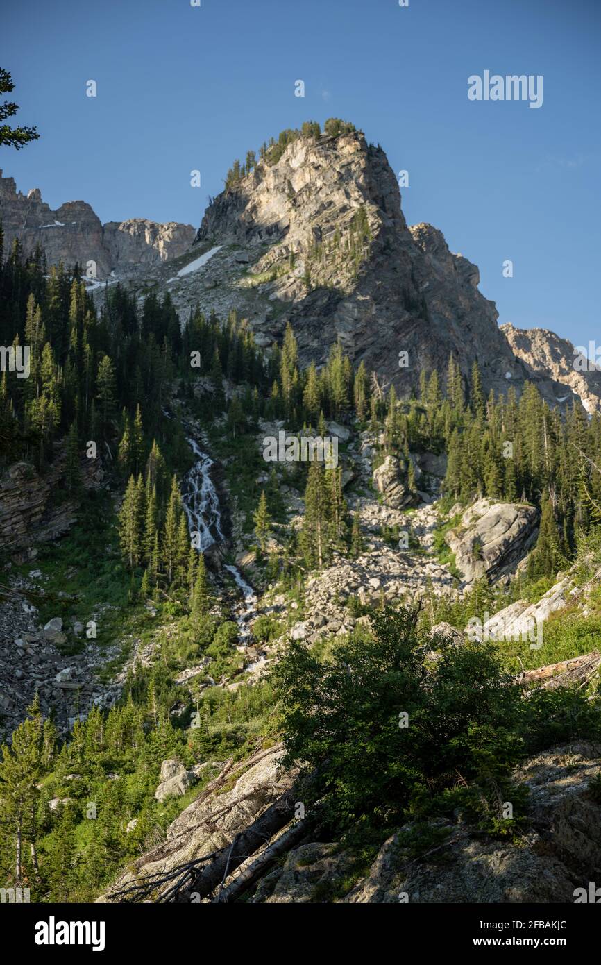 Creek Cascades lungo il bordo del Paintbrush Canyon in Grand Parco nazionale di Teton Foto Stock