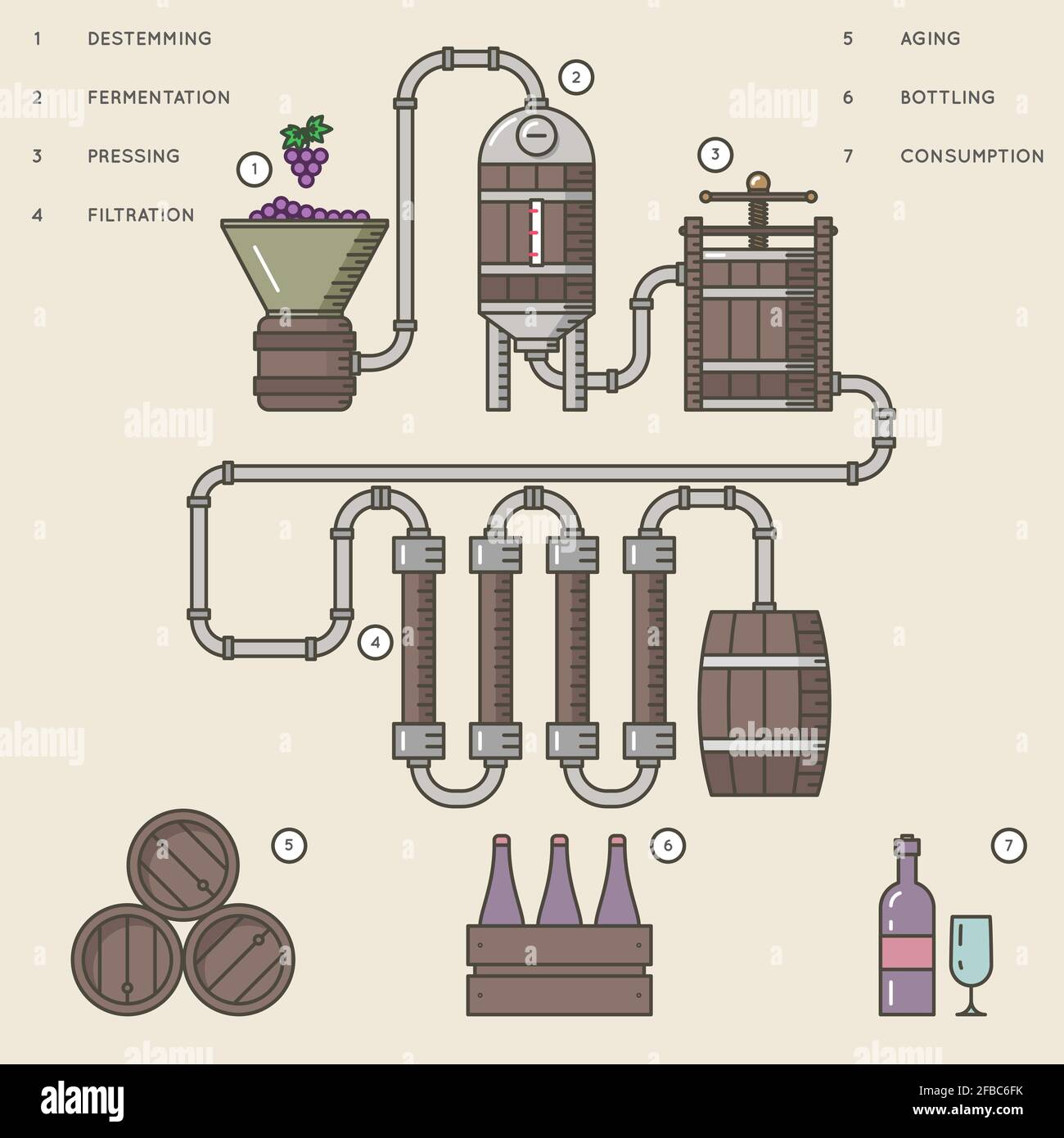 Processo di vinificazione o vinificazione. Processo di produzione bevanda da uva Illustrazione Vettoriale