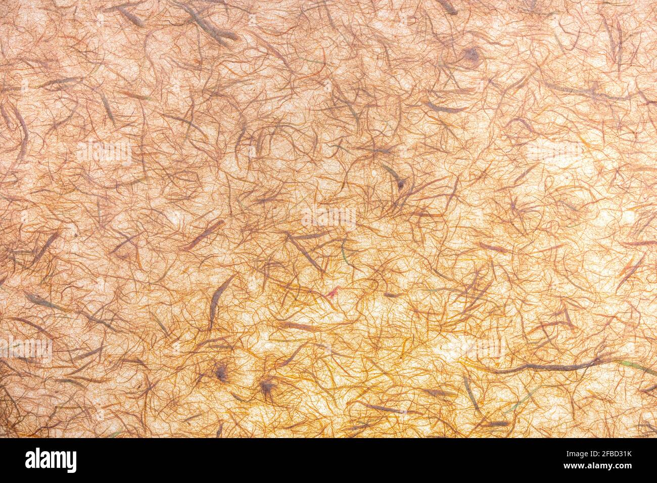 Grana carta (traslucido) fatti a mano con visibile fibre organiche. In delicate tonalità arancio e vaniglia. Foto Stock