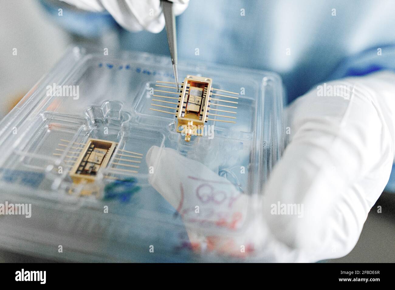 Mani di scienziato maschile disimballare chip laser Foto Stock