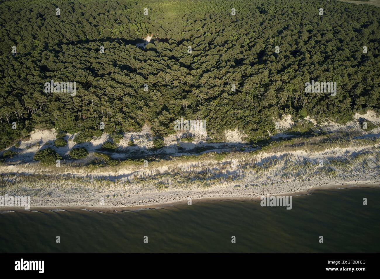 Veduta aerea della Riserva Naturale dell'Area delle Dune di Savage Neck, Virginia, USA Foto Stock