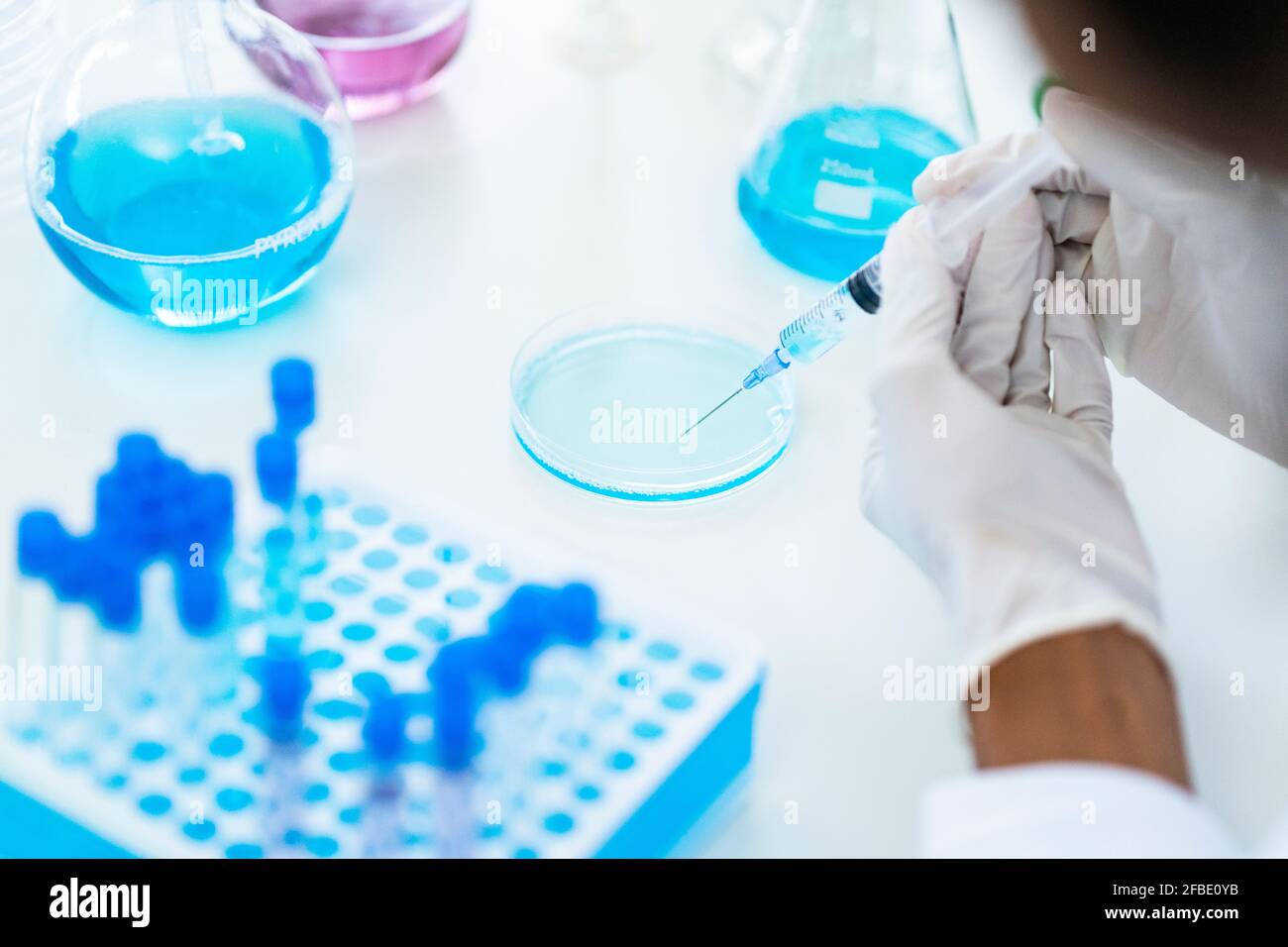 Il ricercatore preleva il liquido dalla capsula di Petri in siringa in laboratorio Foto Stock