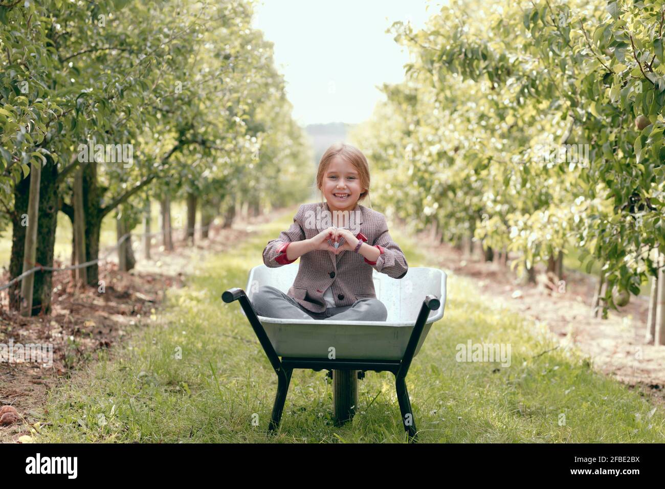 Ragazza carina che fa la forma del cuore con le dita mentre si siede in carriola al frutteto Foto Stock