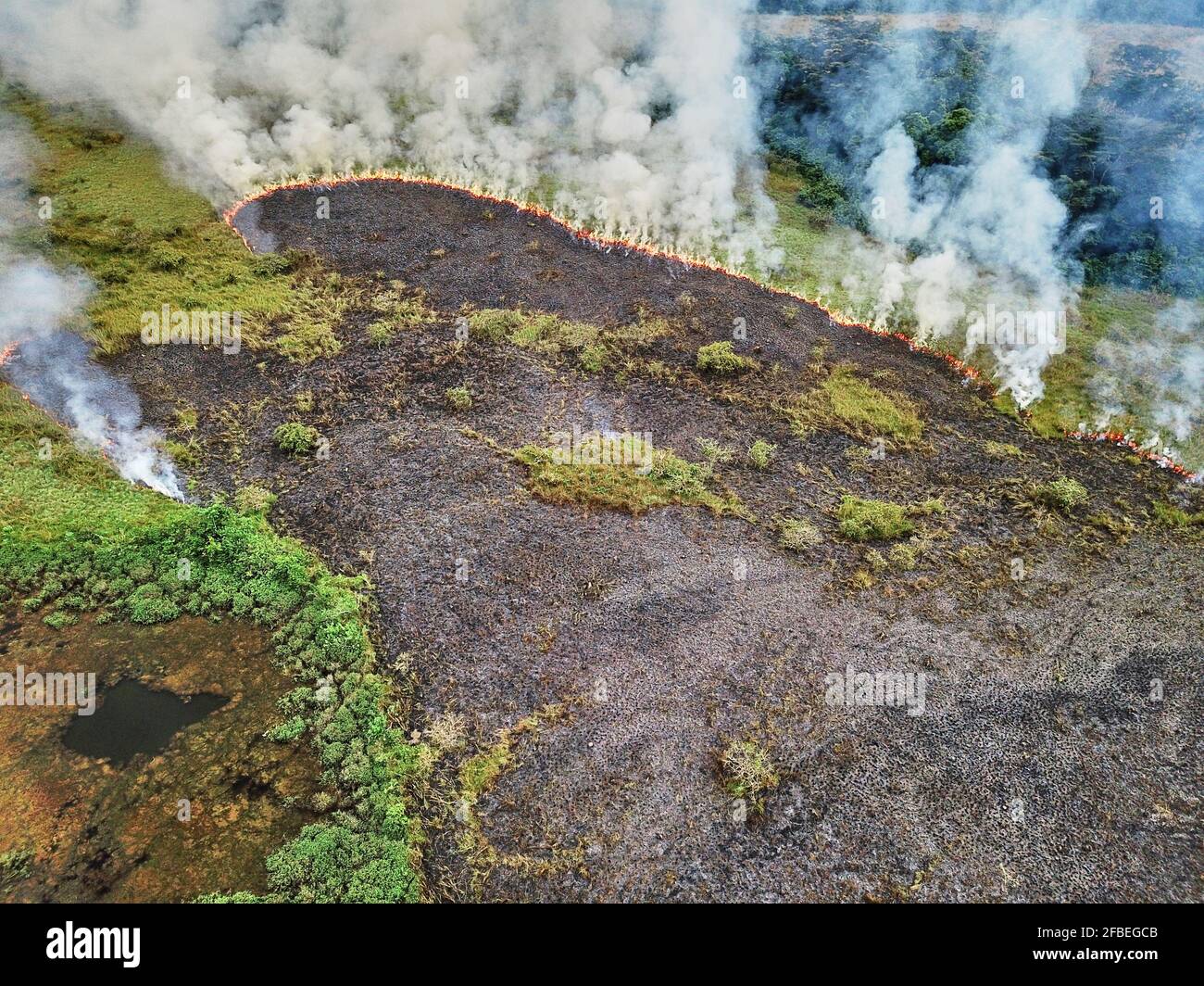 Gabon, veduta aerea di un incendio boschivo controllato Foto Stock