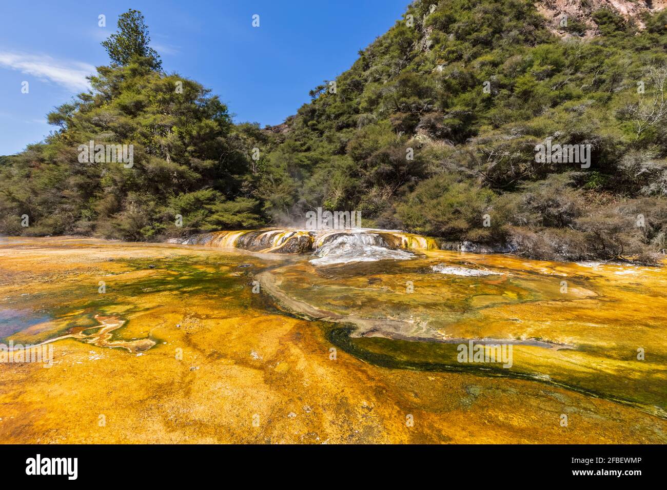Cascata sul fiume selvaggio Foto Stock