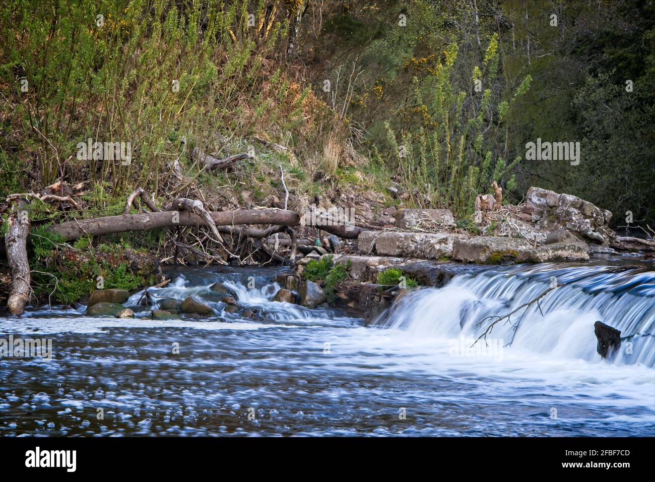 Il fiume Derwent scorre attraverso la Derwent Valley vicino a Winlaton Mill, Gateshead, Tyne e Wear. Foto Stock