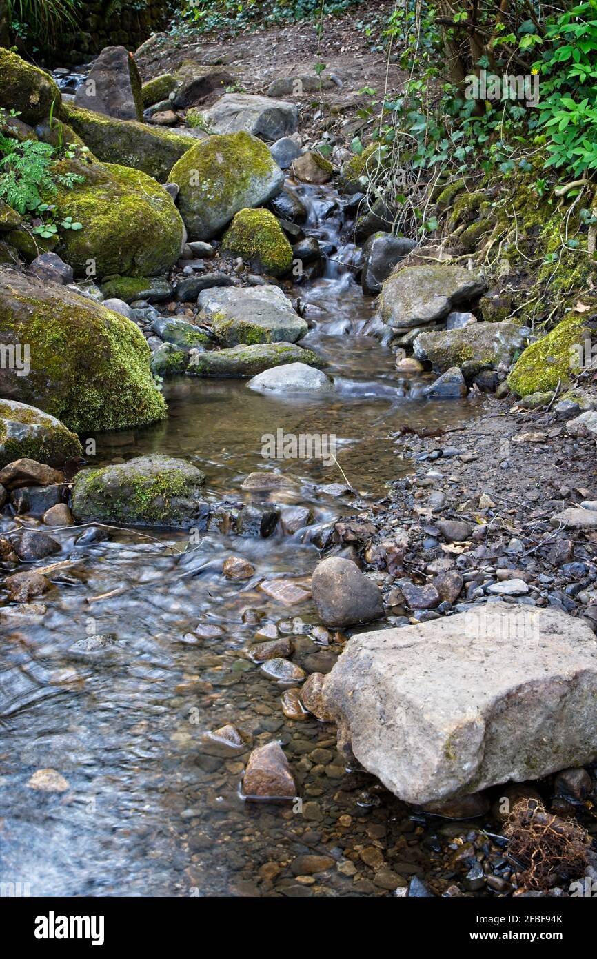 Un piccolo ruscello scorre lungo la valle del Derwent, dove si unisce al fiume Derwent vicino a Winlaton Mill, Gateshead, Tyne e Wear. Foto Stock