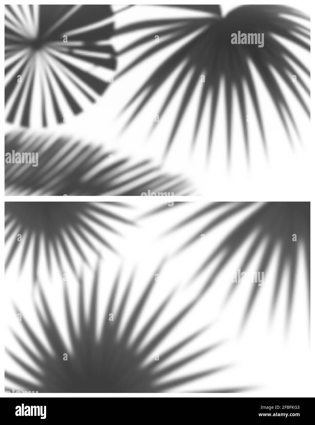 Due realistiche illustrazioni vettoriali di ombre morbide di foglie di palma Illustrazione Vettoriale