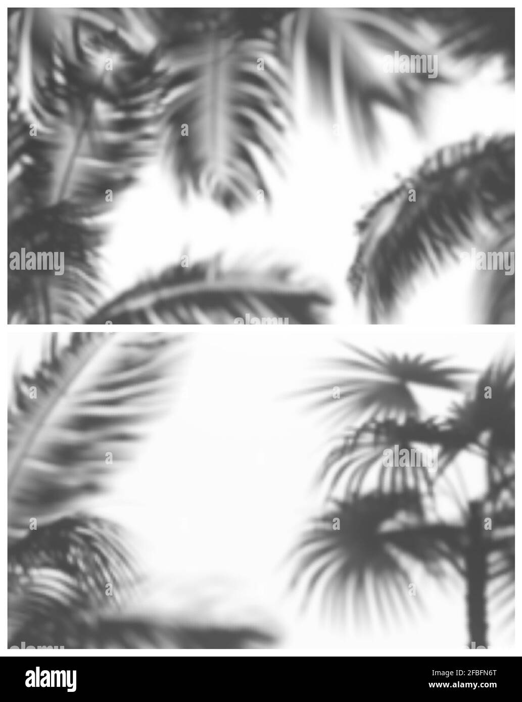 Due realistiche illustrazioni vettoriali di ombre morbide di palme e fern Illustrazione Vettoriale