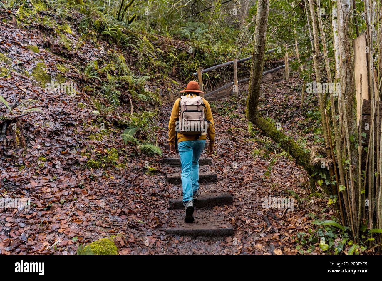 Escursionista maschile a piedi su gradini di pietra nella foresta Foto Stock