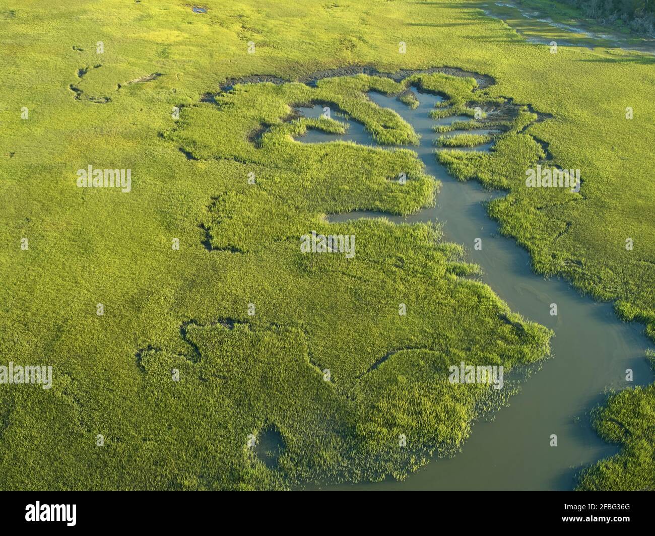 Vista aerea sulle paludi del fiume Machipongo, contea di Accomack, Virginia, Stati Uniti Foto Stock