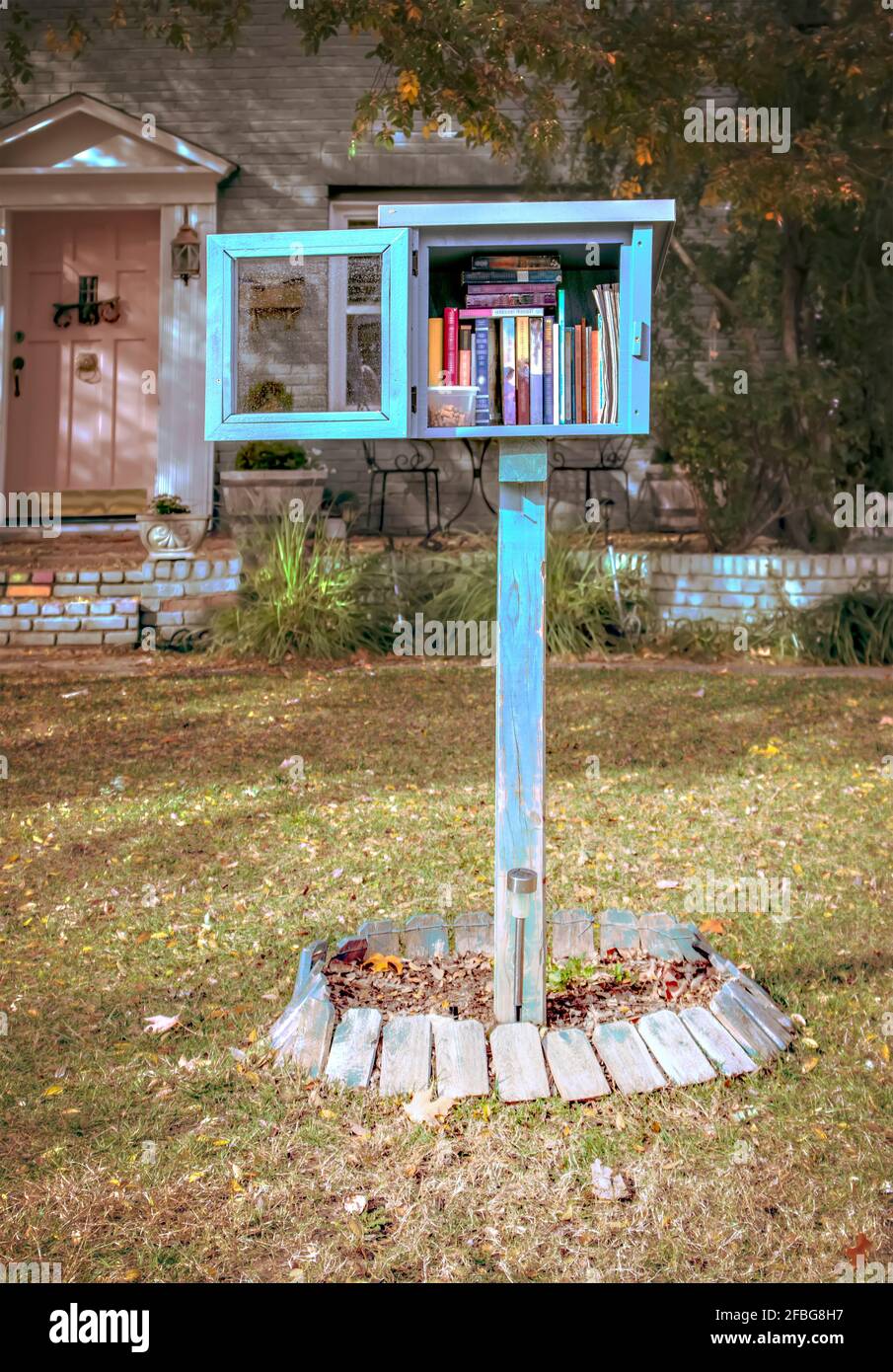 Libreria fatta in casa di scatole di libri nel cortile di font di casa  residenziale aperto e pieno di libri con un contenitore di plastica di cane  tratta con casa e albero