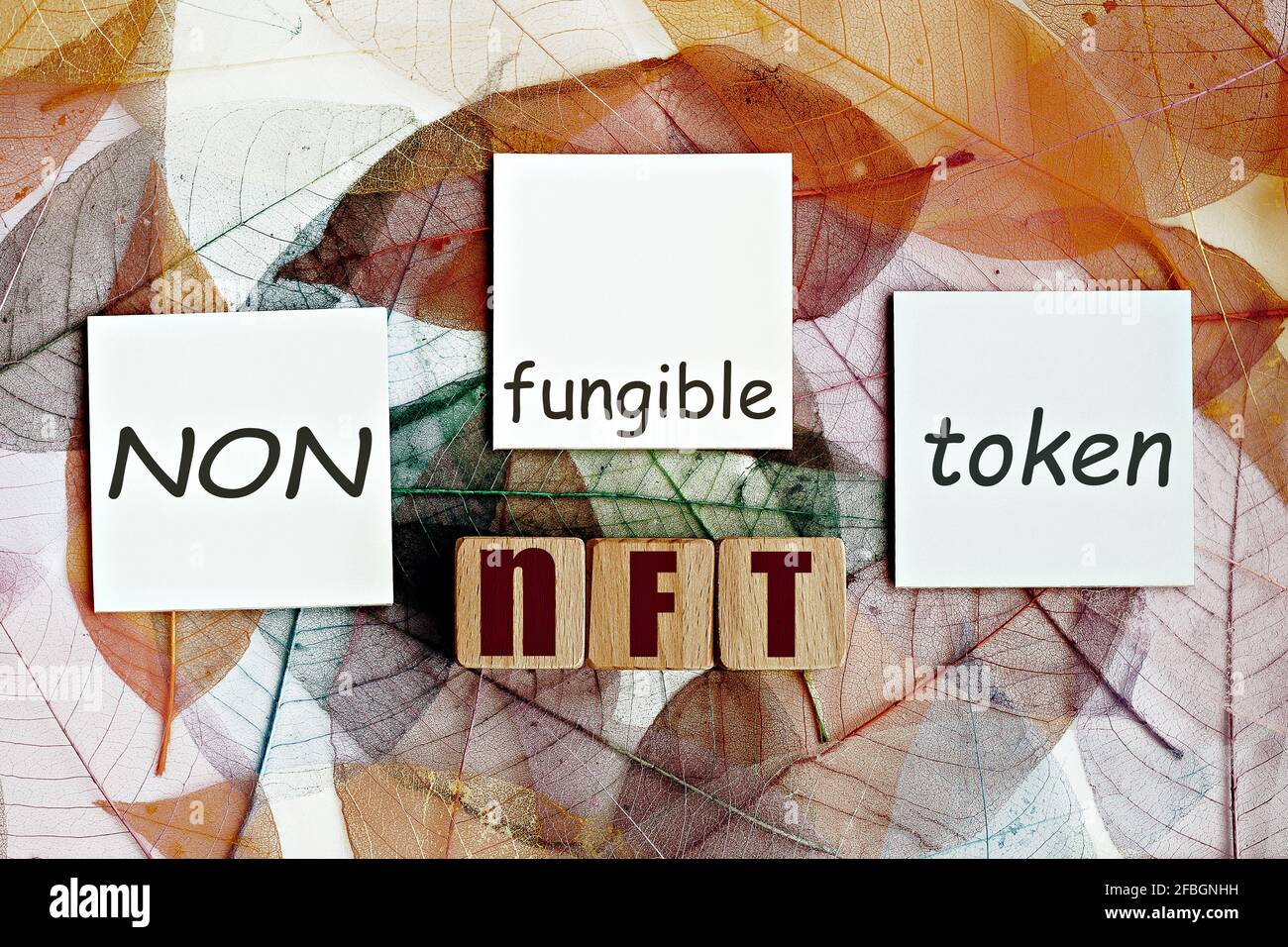 foto su tema nft (non fungibile token). cubi di legno con l'acronimo 'nft', e note appiccicose, sullo sfondo della foglia scheletro magnolia Foto Stock