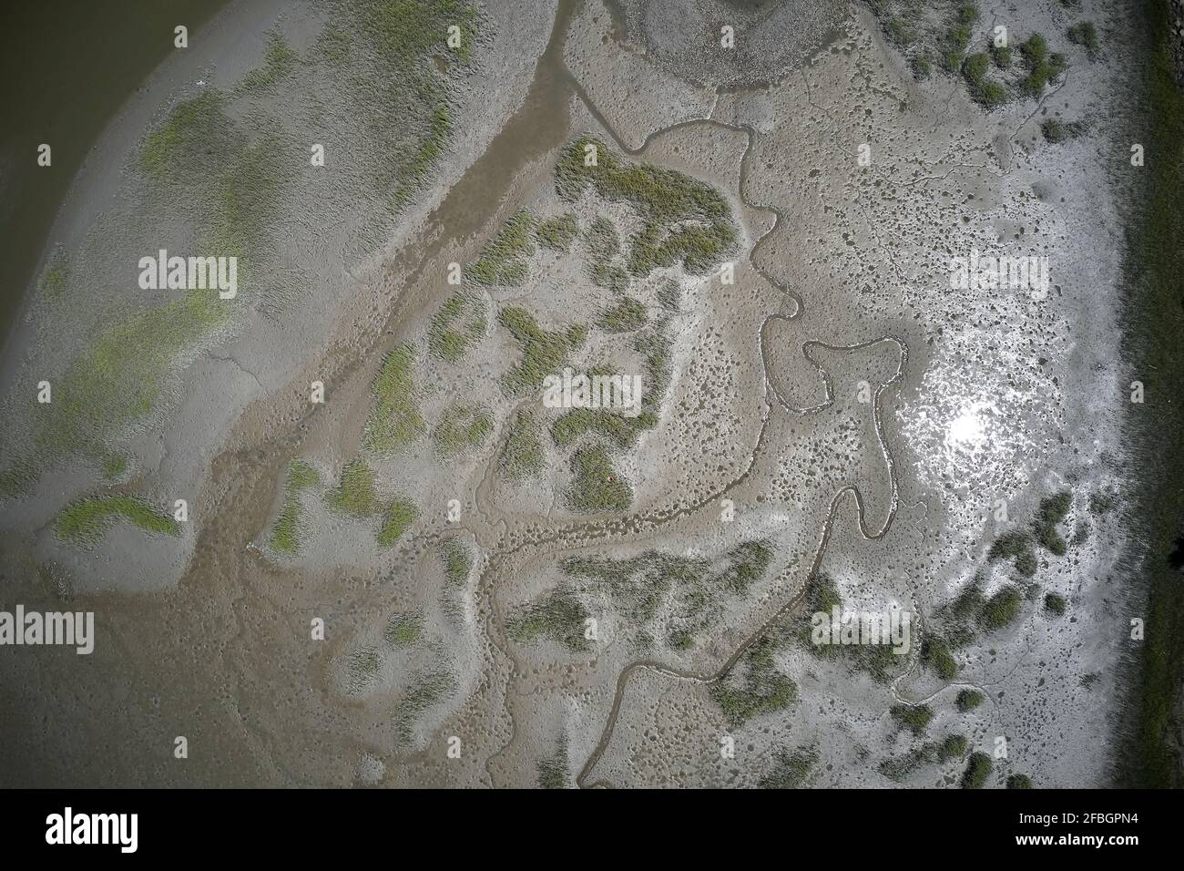 Foto aerea delle pianure di fango del fiume Machipongo, Contea di Accomack, Virginia, Stati Uniti Foto Stock