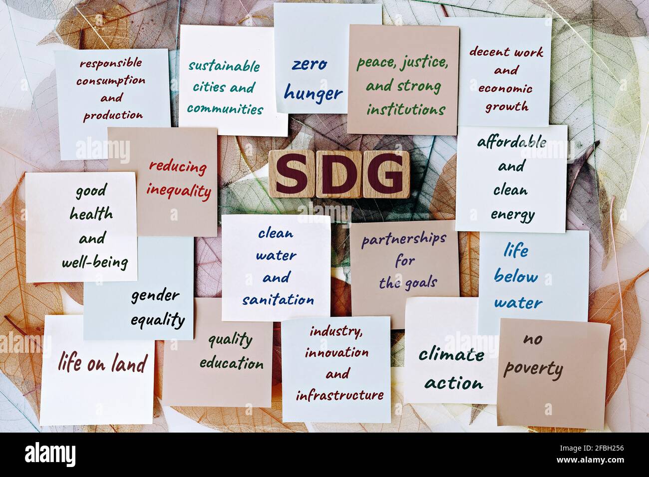 Foto sul tema SDG (obiettivi di sviluppo sostenibile). Cubi di legno con l'acronimo 'DG', e note appiccicose, sullo sfondo dello scheletro foglia di magnolia Foto Stock