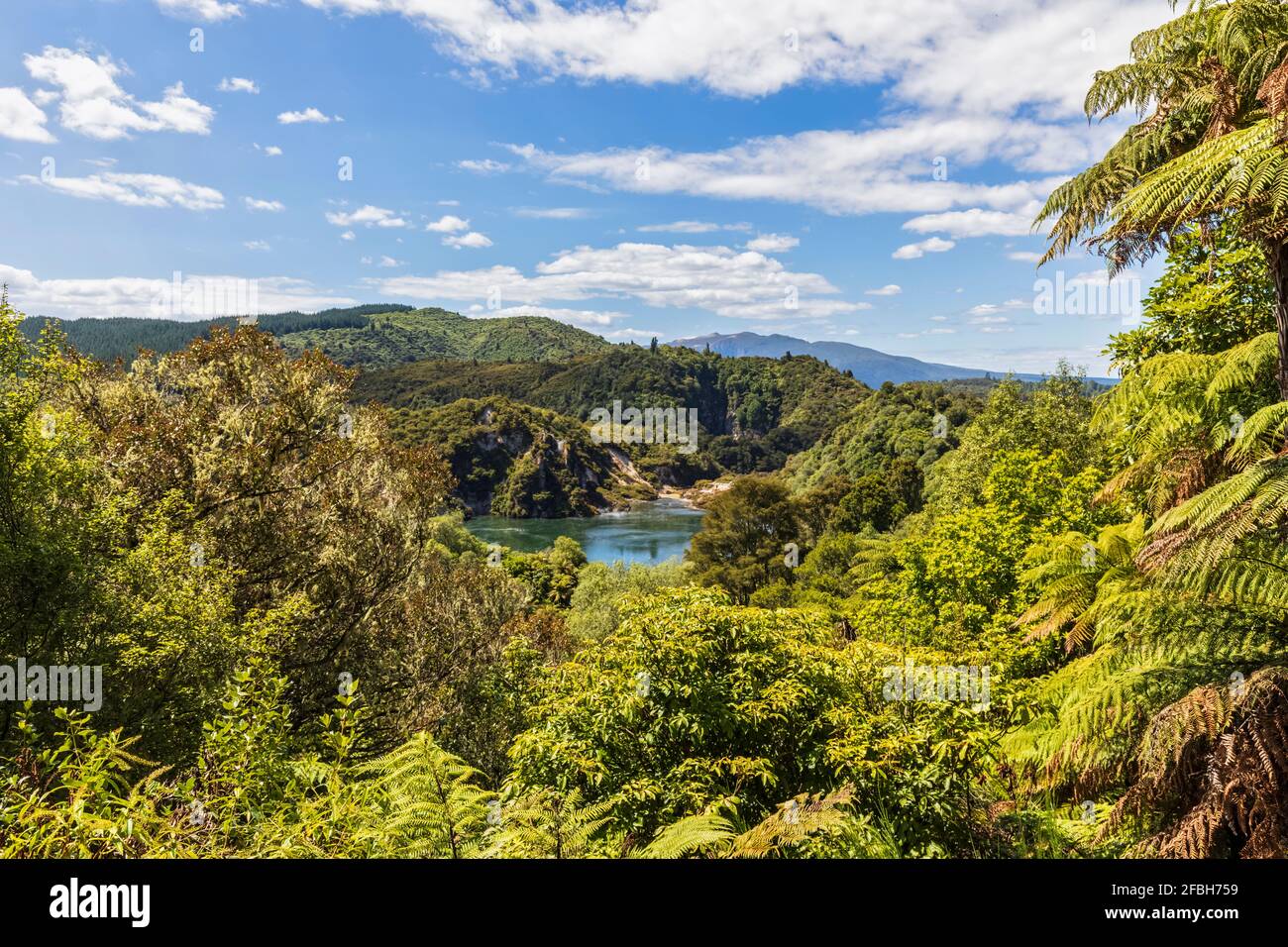 Lussureggiante foresta verde che copre l'isola Foto Stock