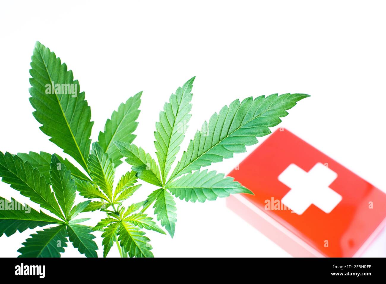 Pianta di cannabis e scatola di pronto soccorso Foto Stock