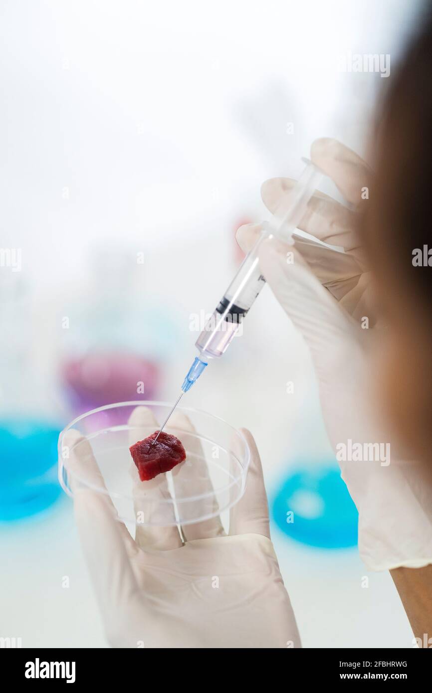 Ricercatore che fa test su carne in piastra di Petri in laboratorio Foto Stock
