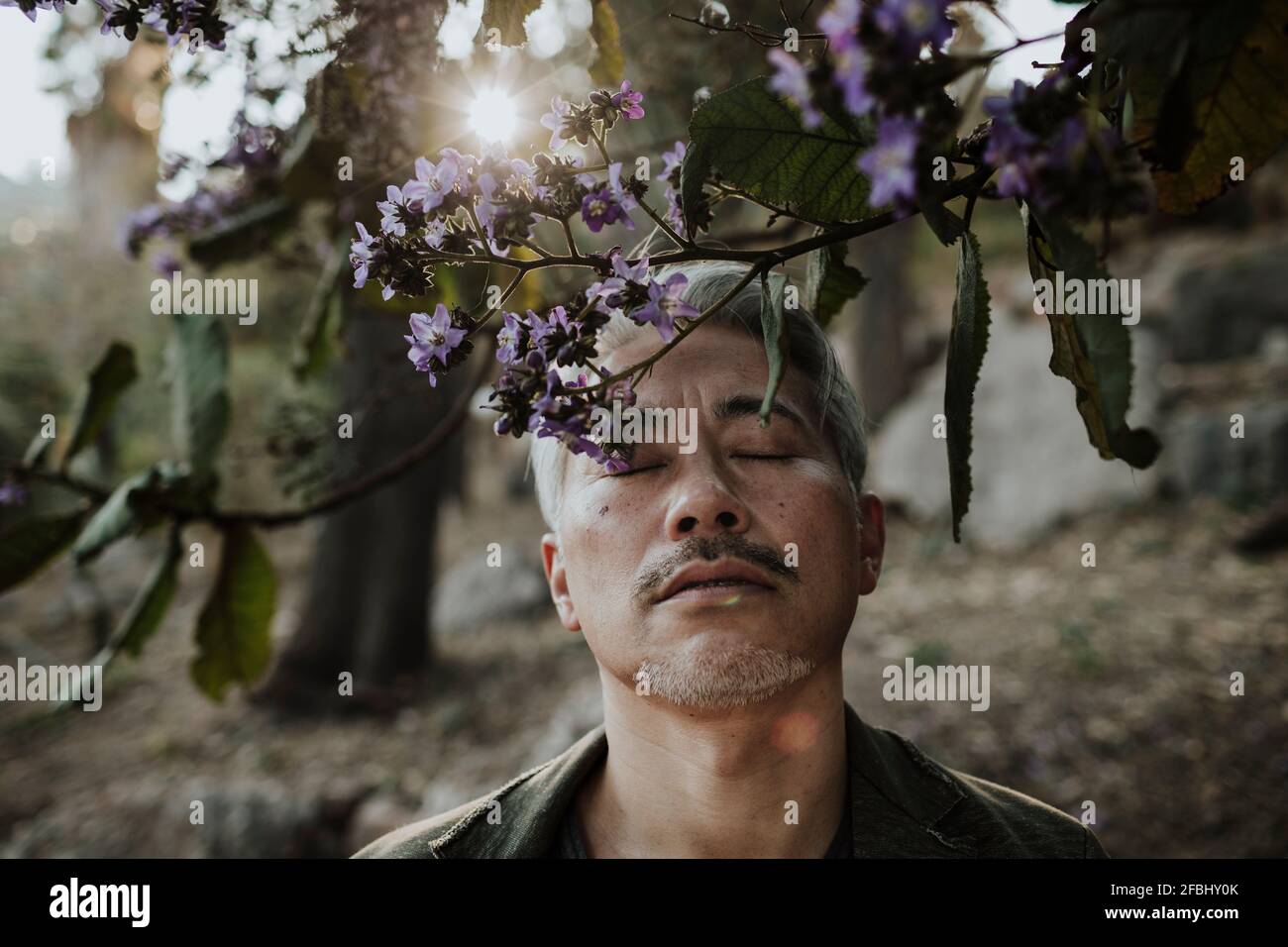 Uomo maturo con gli occhi chiusi ad albero fiorente in giardino Foto Stock