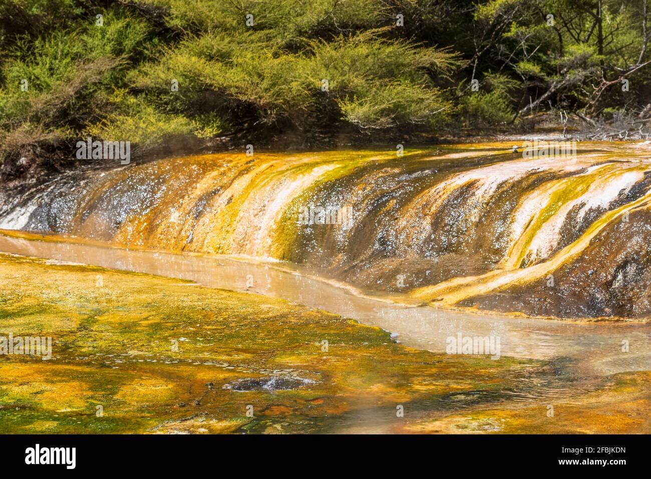 Cascata sul fiume selvaggio Foto Stock