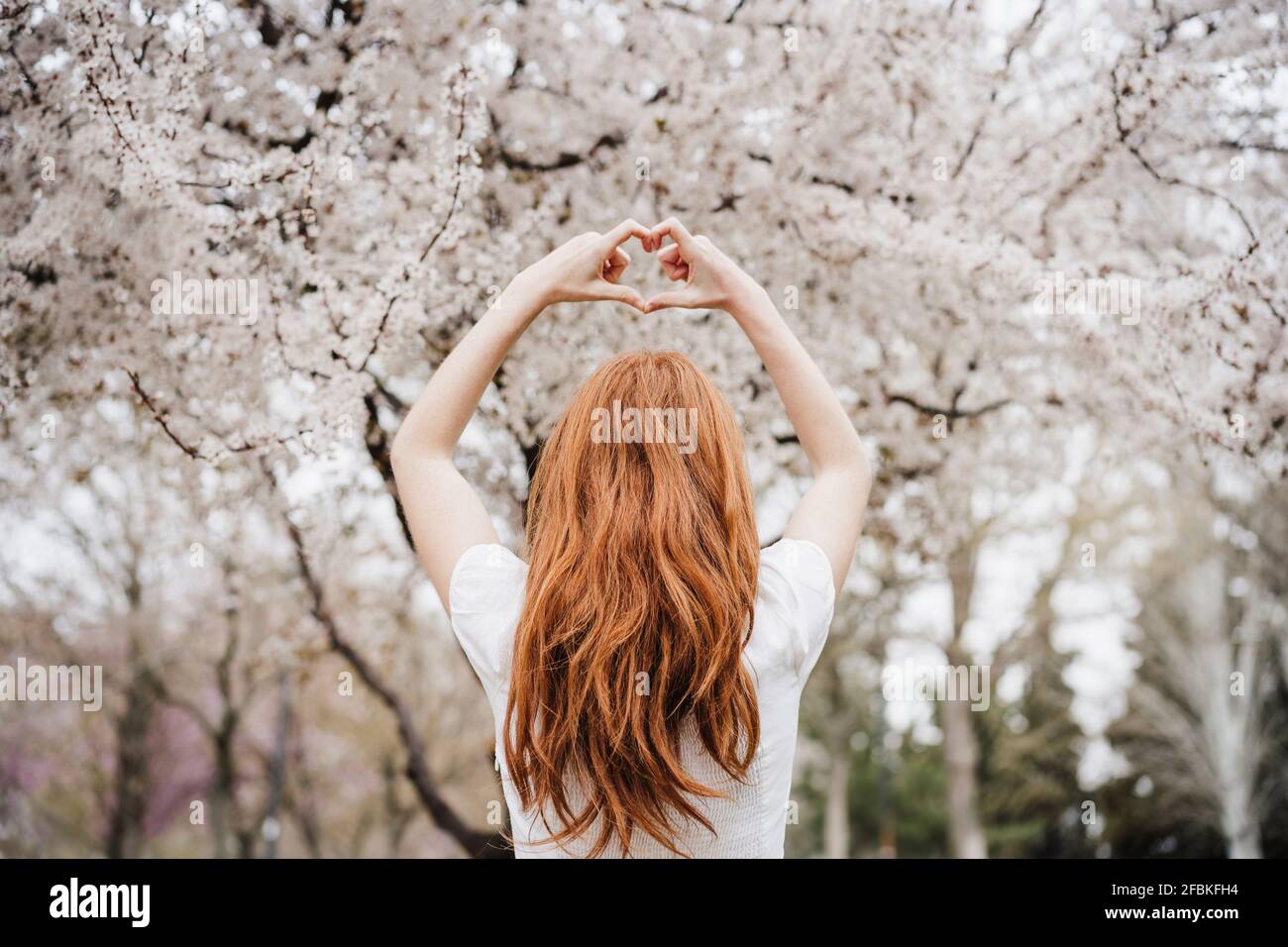 Donna rossa che fa la forma del cuore davanti all'albero della mandorla Foto Stock