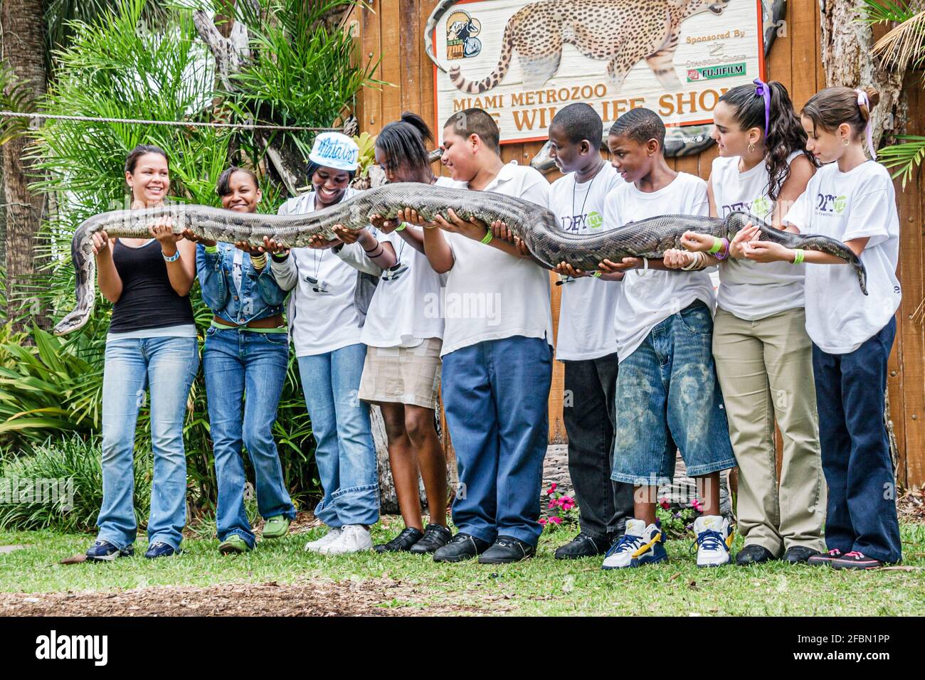 Miami Florida,MetroZoo Drug Free Youth in Town,teen teen teenagers students,class field trip holding gigante python serpente Black Ispan ragazze Foto Stock