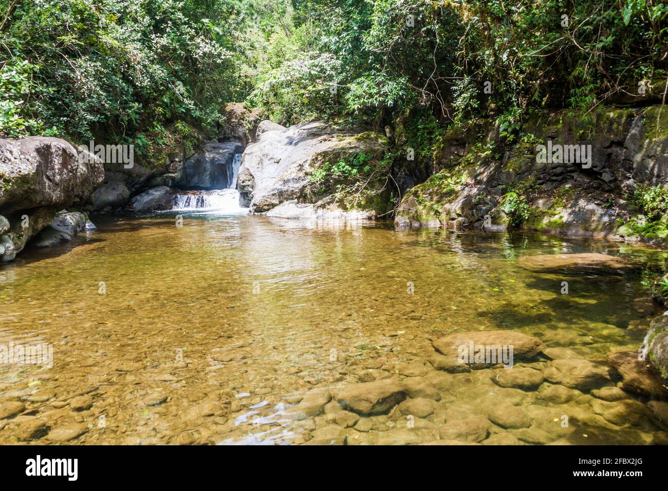 Rapide del fiume Rio hornito e una giungla a Panama Foto Stock Rapide del fiume Rio hornito e una giungla a Panama Foto Stock