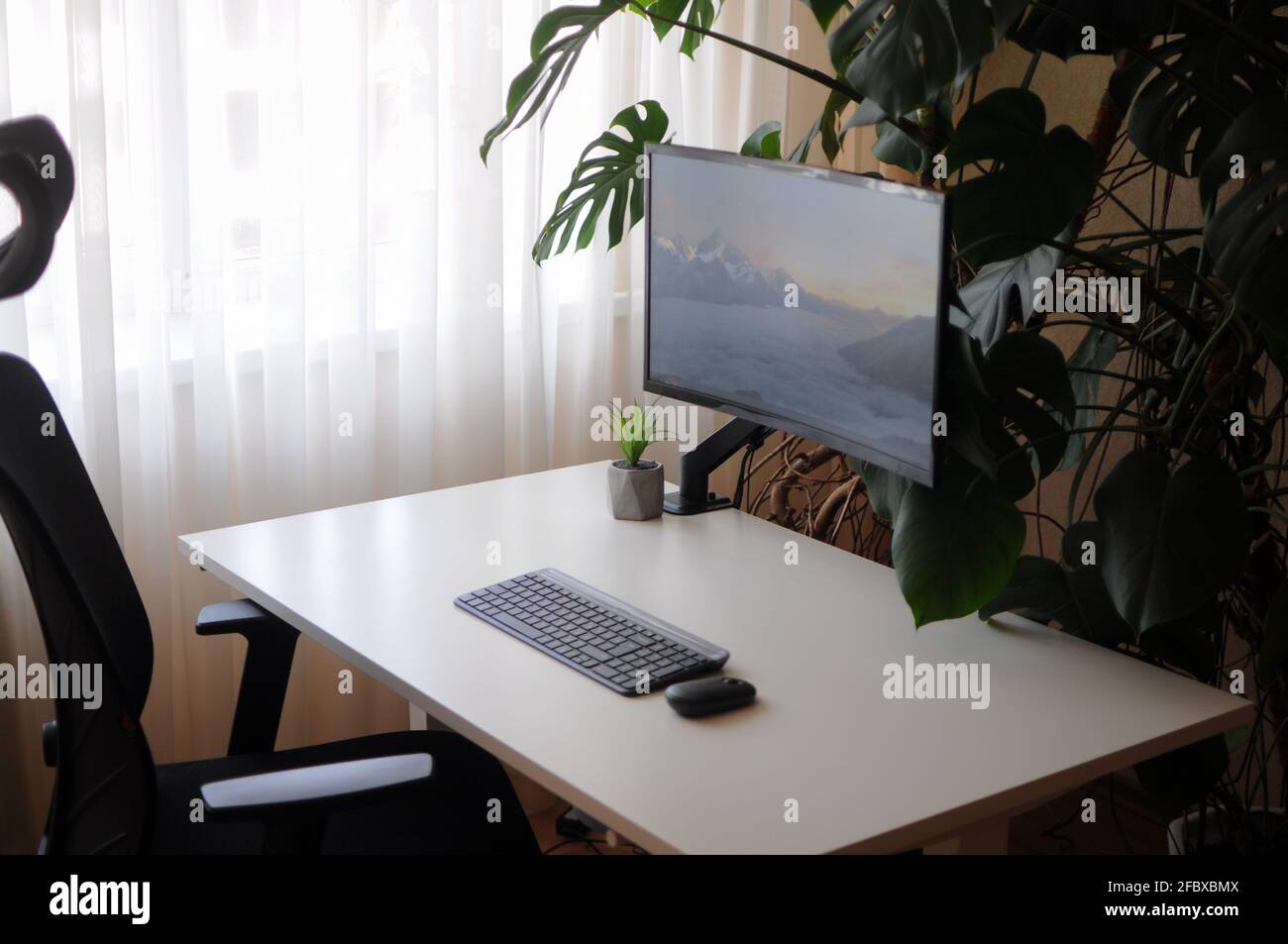 Moderno ufficio domestico con schermo curvo e sedia ortopedica. Interno con piante Foto Stock