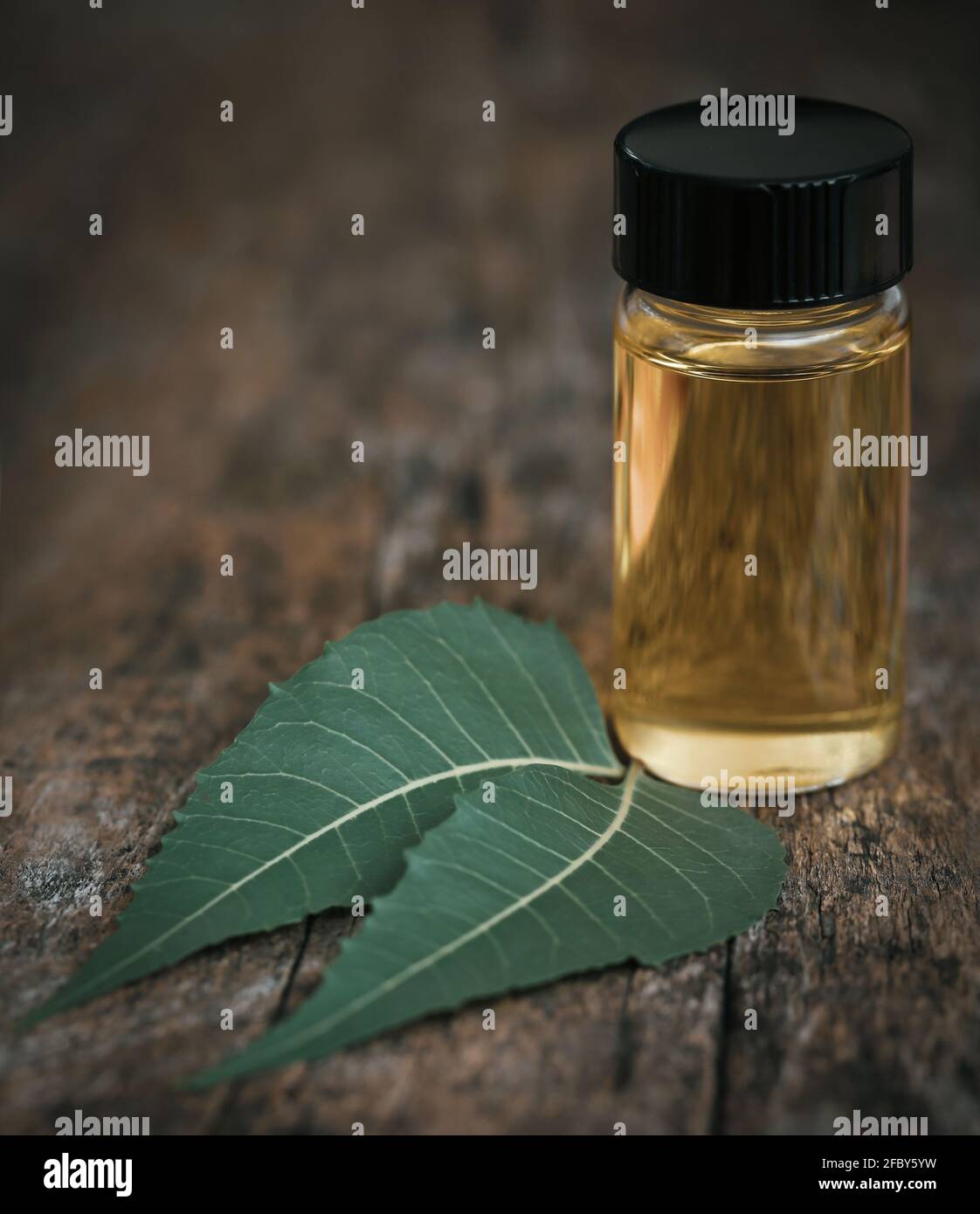 Foglie di neem medicinale con olio essenziale in un flacone Foto Stock