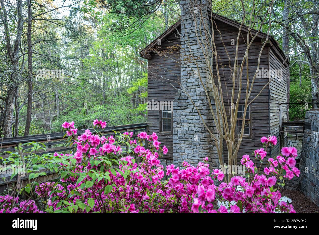 Primavera presso il vecchio Stone Mountain Grist Mill di Atlanta, il parco di Stone Mountain della Georgia. (STATI UNITI) Foto Stock