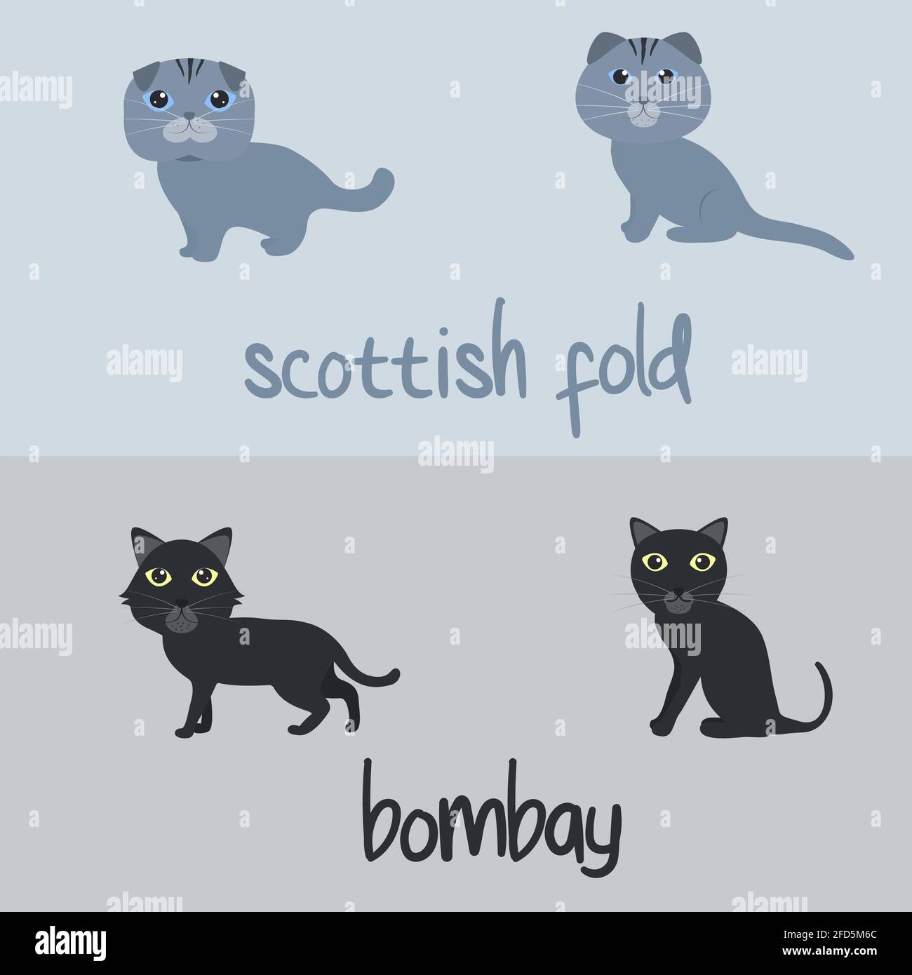 Cute razze di gatto senza giunture modello Cartoon Animal Illustration tipo di Scottish Fold and Bombay to background or Wallpaper Illustrazione Vettoriale