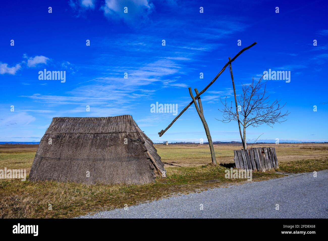 Nel parco nazionale 'Lange Lacke' nell'Austria orientale. Foto Stock