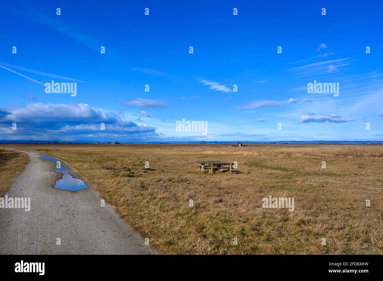Nel parco nazionale 'long lake' nell'Austria orientale. Foto Stock