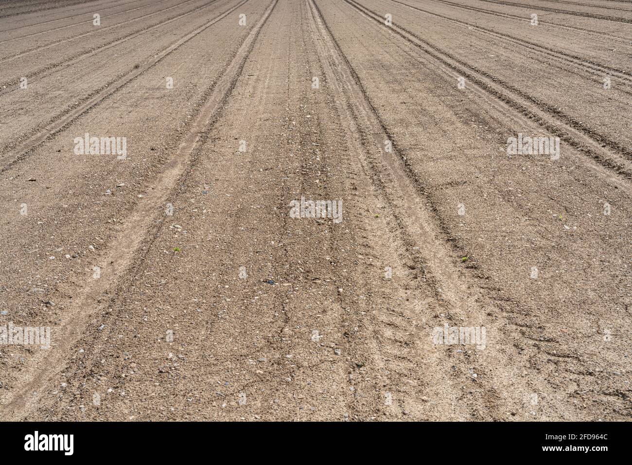 vista del terreno di un campo arato e pressato, pronto per la semina in primavera Foto Stock