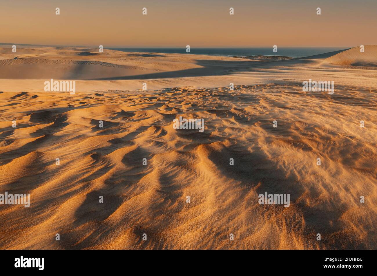 Le dune di Gunyah Beach di Coffin Bay nell'ultima luce del giorno. Foto Stock