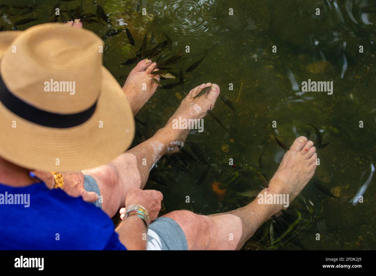 Pedicure di pesce con Kangal Fish in un fiume Foto Stock