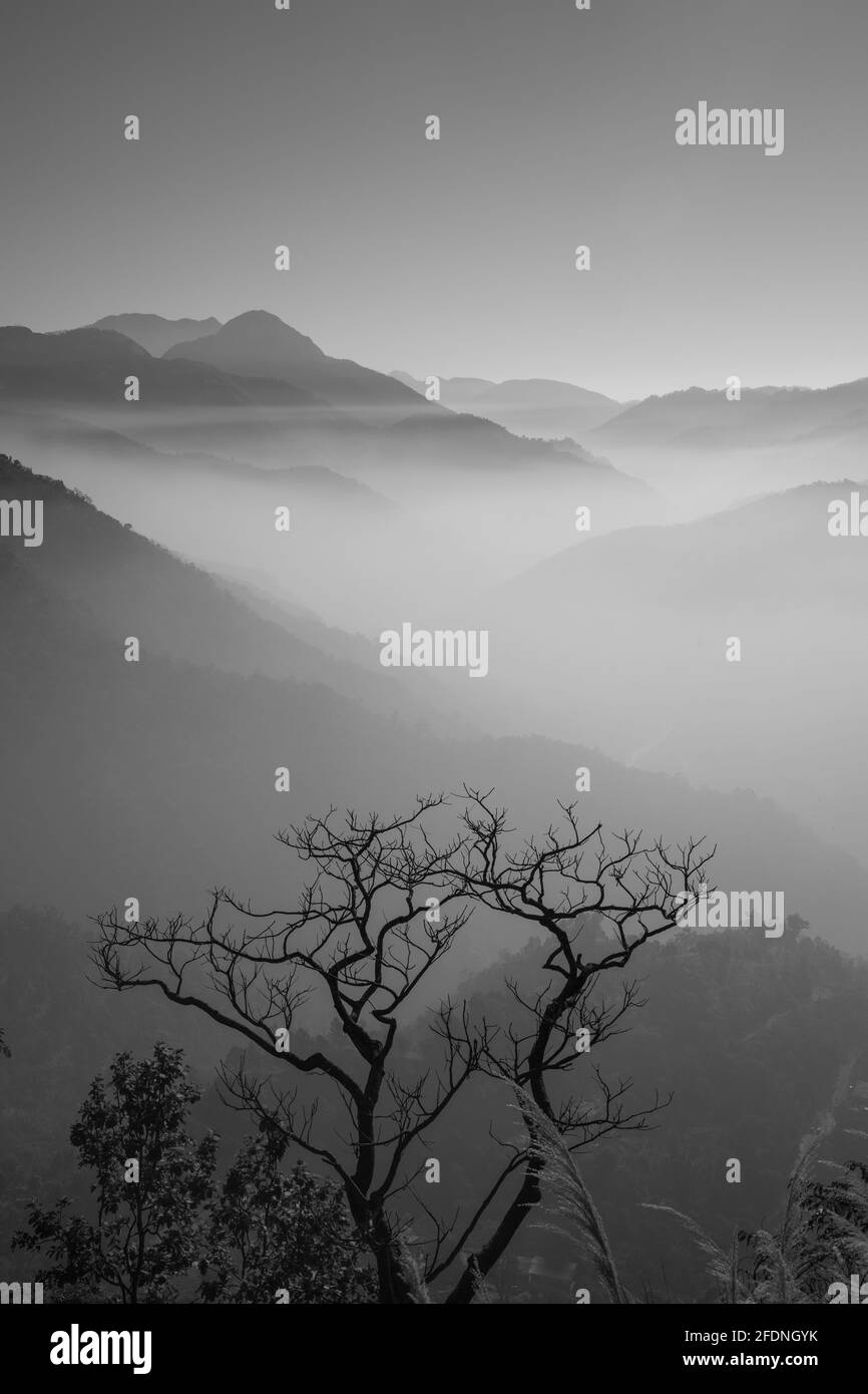 Catene montuose con cielo limpido sullo sfondo e nebbia nella valle e silhouette di un albero senza foglie in primo piano in bianco e nero Foto Stock