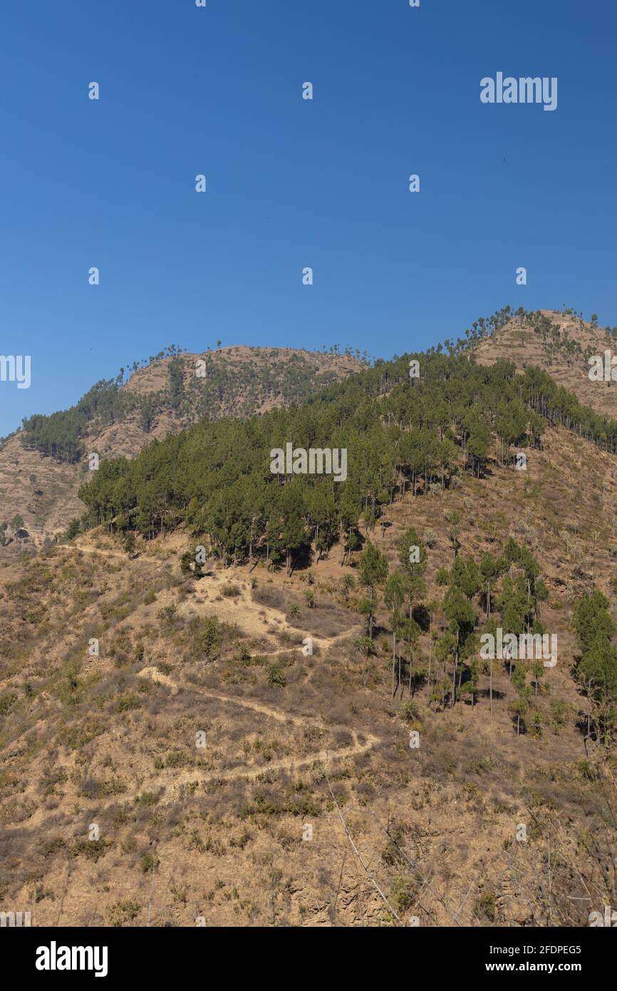 Un sentiero di montagna che salirà in cima alla collina con alberi in cima in una giornata di sole Foto Stock