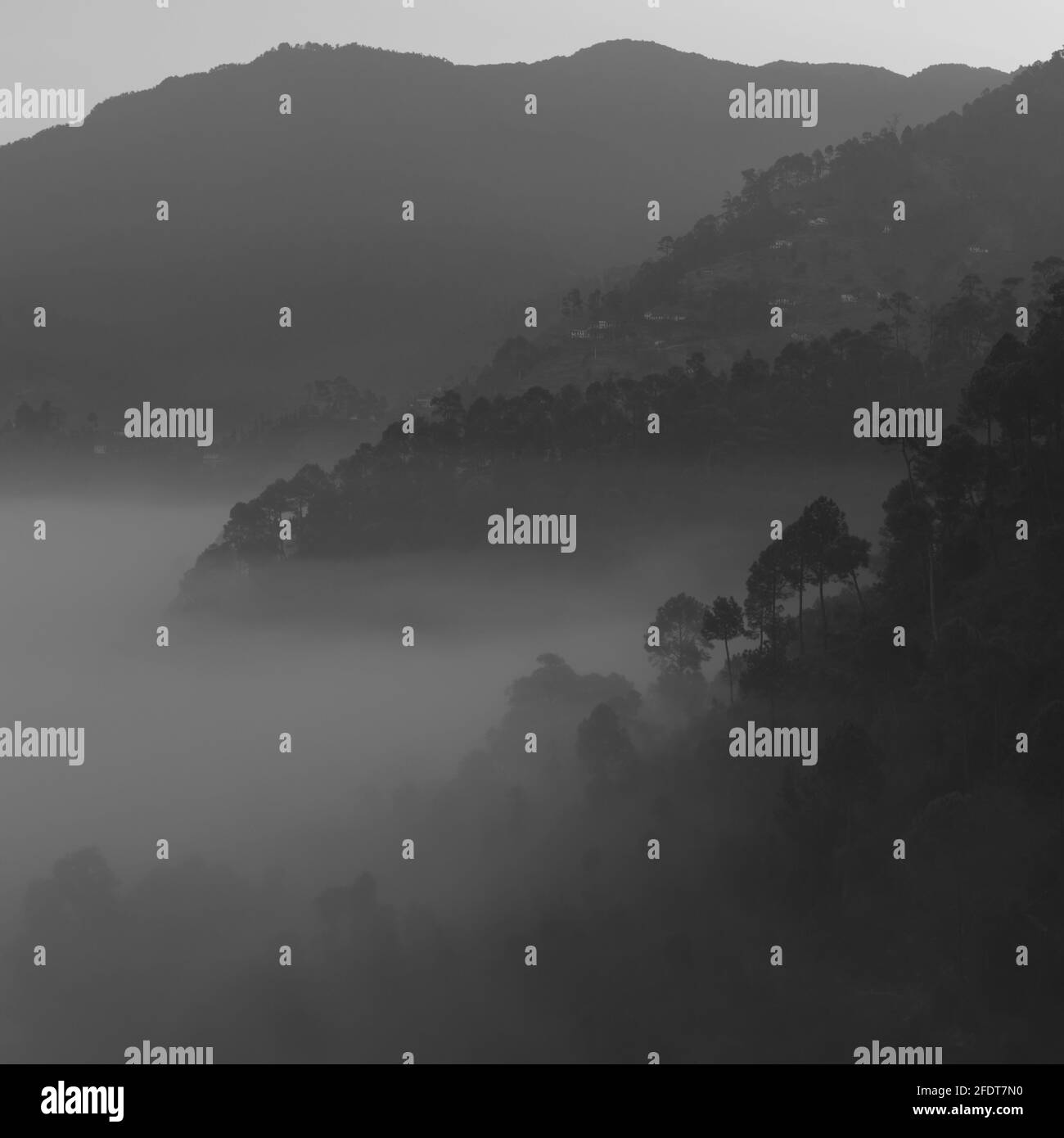 Vista panoramica su strati di montagne con alberi di pino loro e nebbia e nebbia si stabilirono nella valle Foto Stock
