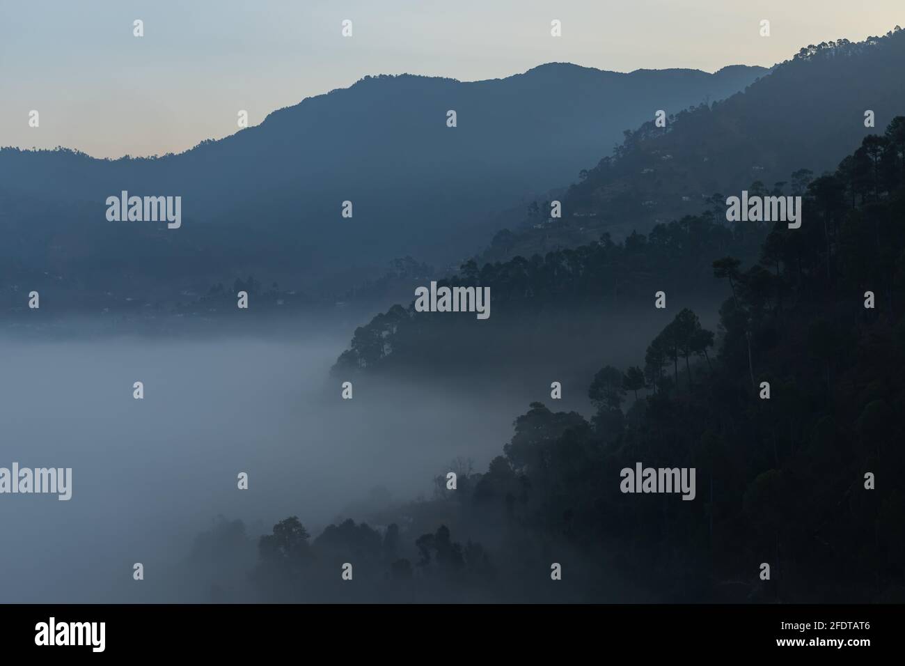 Vista panoramica su strati di montagne con alberi di pino loro e nebbia e nebbia si stabilirono nella valle Foto Stock