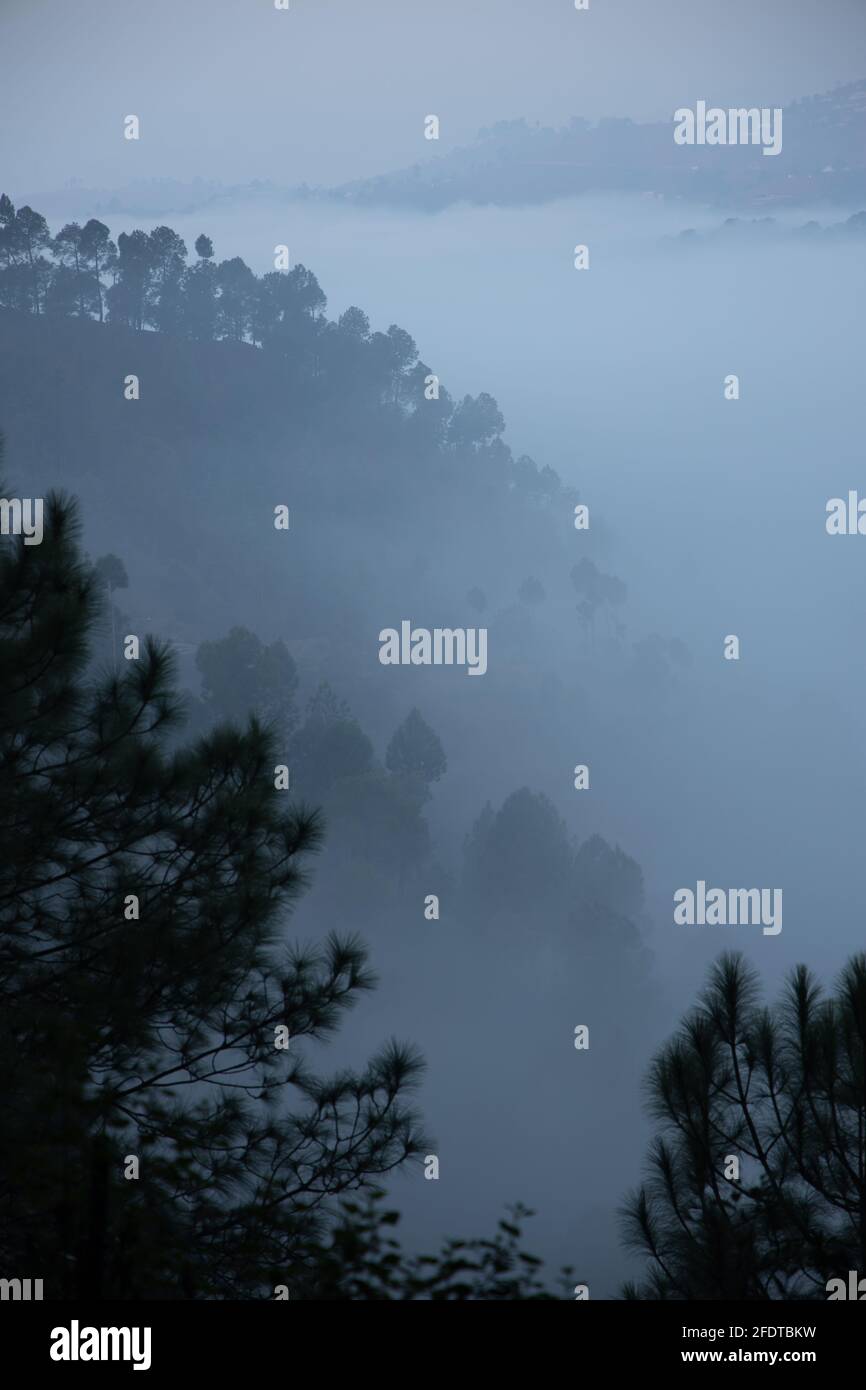 Strati di montagne con alberi di pino su di loro e nebbia si stabilì nella valle e nella foresta Foto Stock